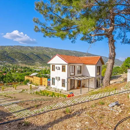 Casa Luna فيلة
